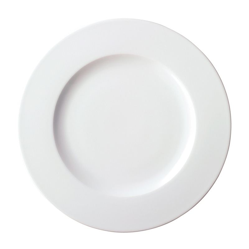 ミヤザキ食器 コスタヴェルデ サトゥルノ プレート 29cm CV2901SA 1個(ご注文単位12個)【直送品】