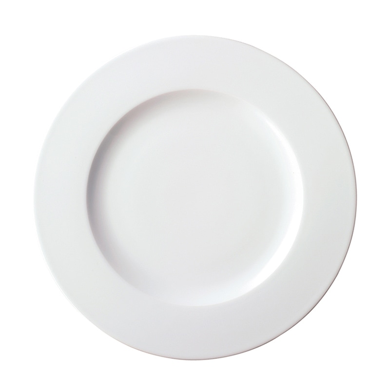 ミヤザキ食器 コスタヴェルデ サトゥルノ プレート 24cm CV2401SA 1個（ご注文単位12個）【直送品】