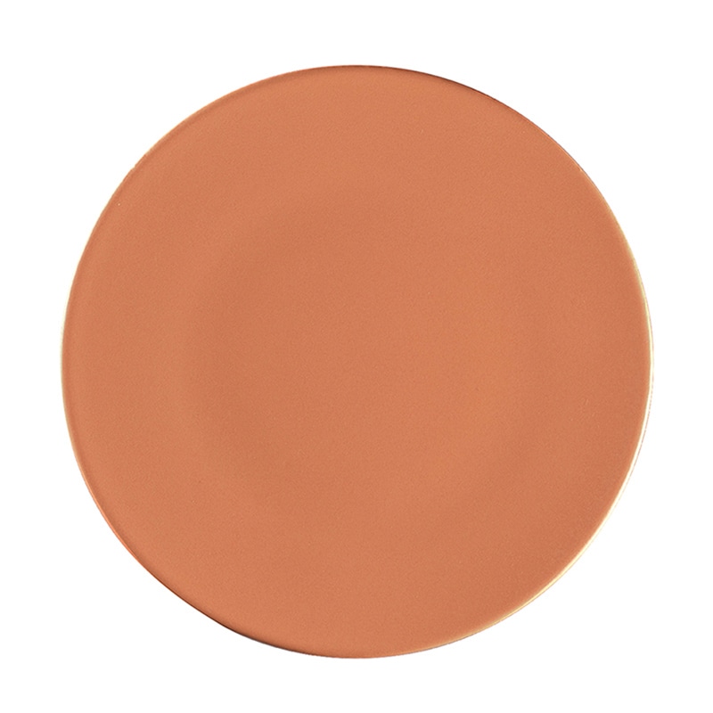 ミヤザキ食器 ラック ポーセレン ラックアース テロ ラウンドプレート 24cm RA24001EAOR 1個（ご注文単位12個）【直送品】