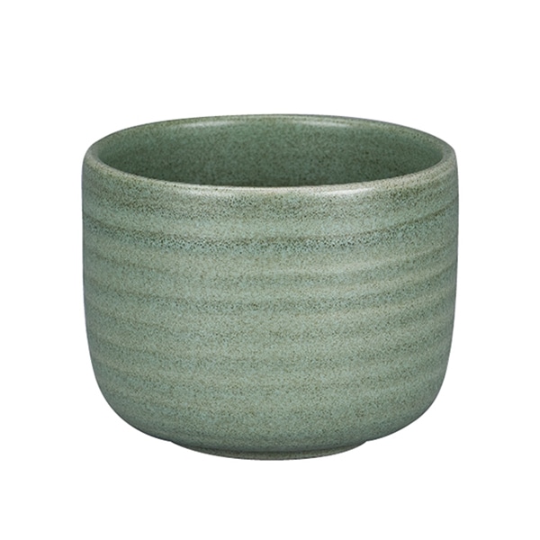 ダークグリーン