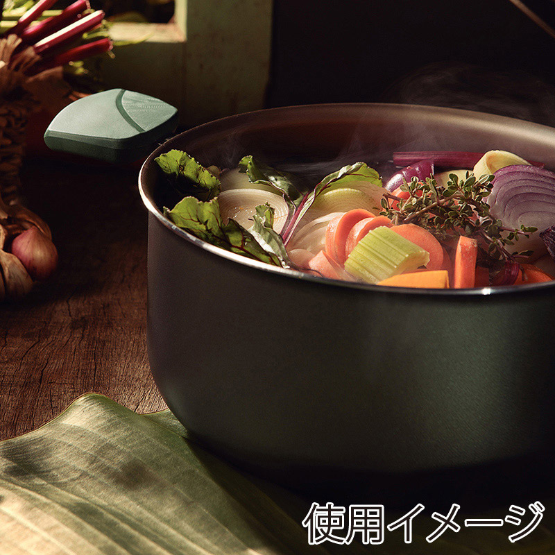 ノボダ トラモンティーナ リーフ 両手鍋 20cm 28318/220 1個(ご注文単位1個)【直送品】