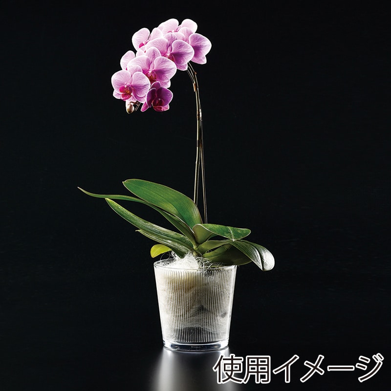 高岡健二商店 フラワーベース タテモール 135×105×135 F-53837 1個（ご注文単位1個）【直送品】
