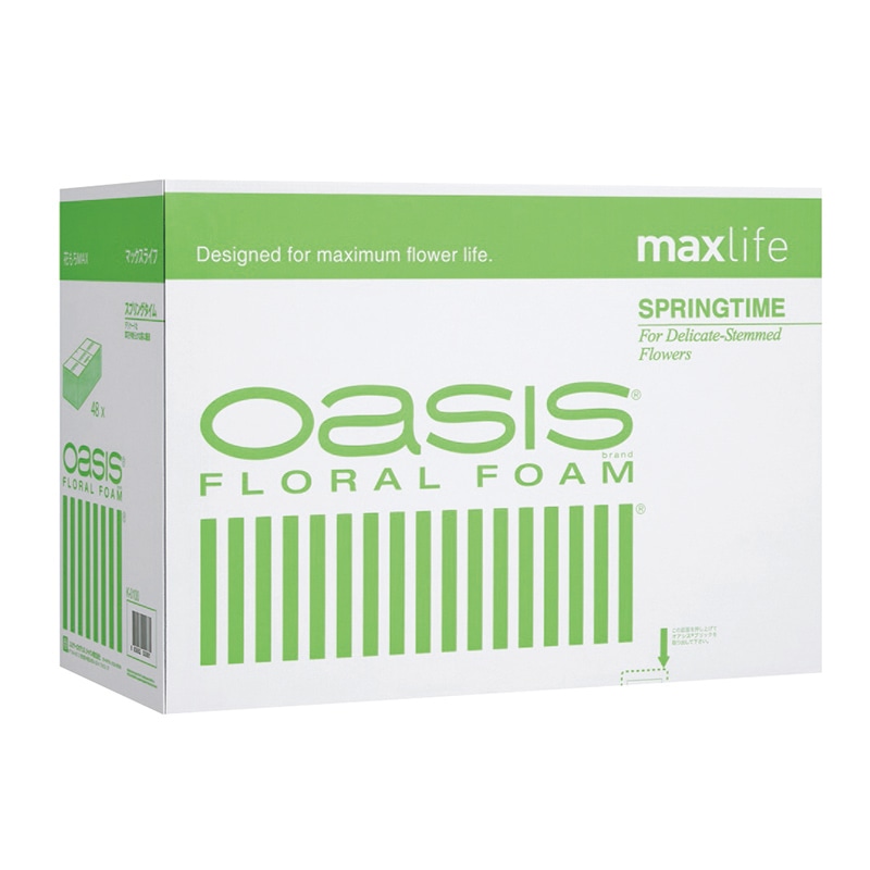 オアシス フローラルフォーム マックスライフ スプリングタイム１箱(48個入)