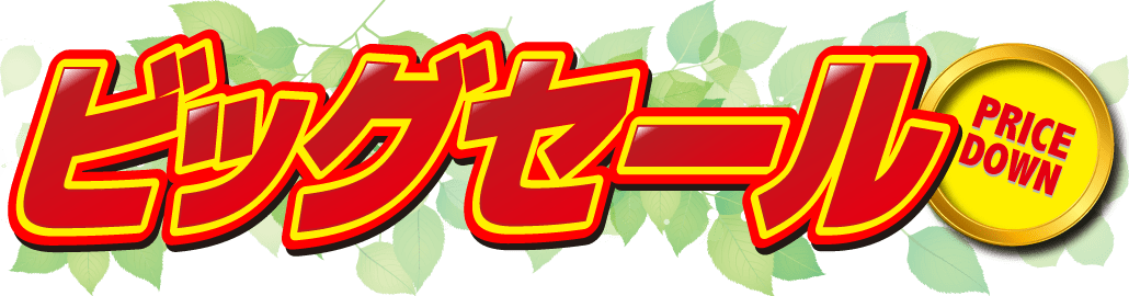 春のビッグセール