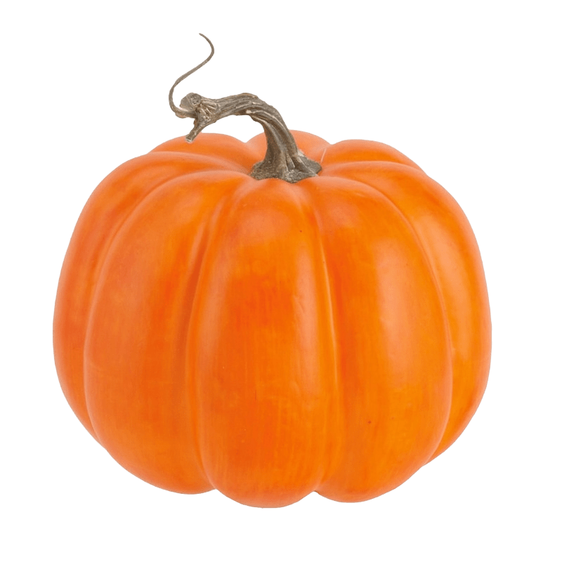 ハロウィンアレンジメント・パンプキン