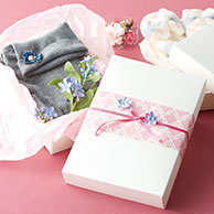 HEIKO 箱 ソフィアボックス SO-20 10枚