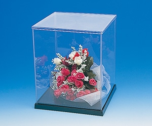 ウインナーケース