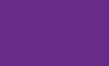 紫No.3