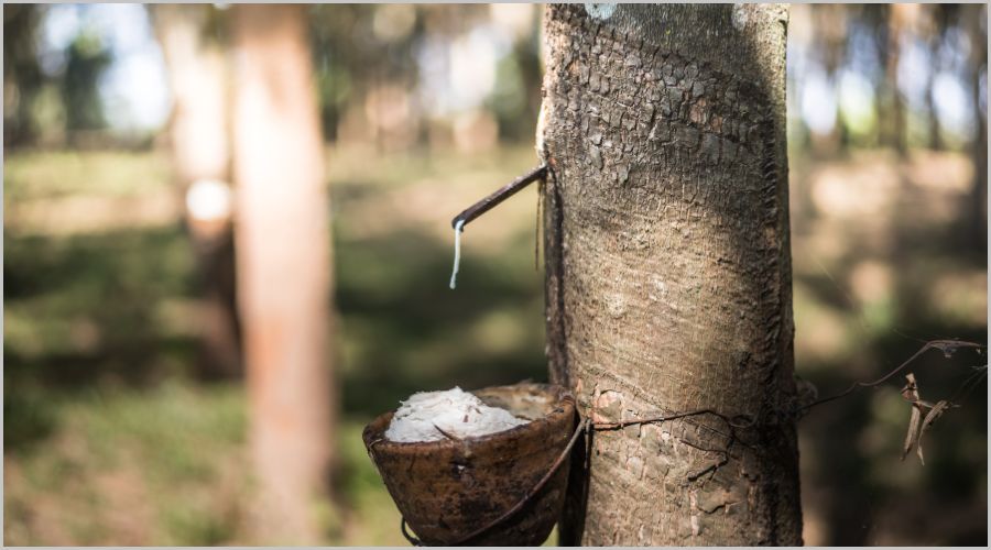 知っておくべきゴムの種類15選：用途別の特徴と使い分けのポイント