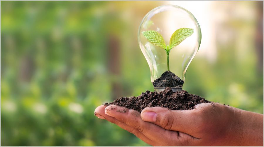 環境に配慮した商品とは？飲食店・小売店が導入するメリット