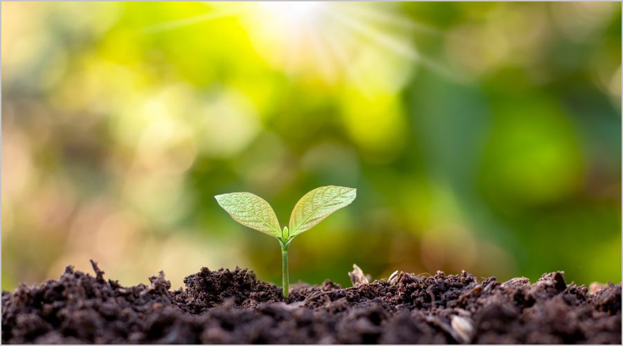 まとめ：環境に配慮した商品の選択は未来への投資