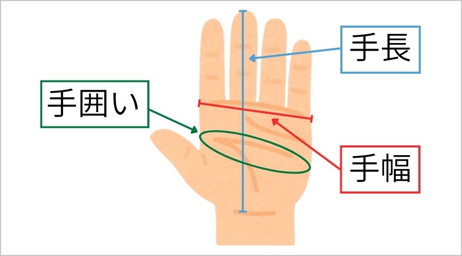 手袋サイズの測り方を徹底解説（手囲い・手幅・手長）