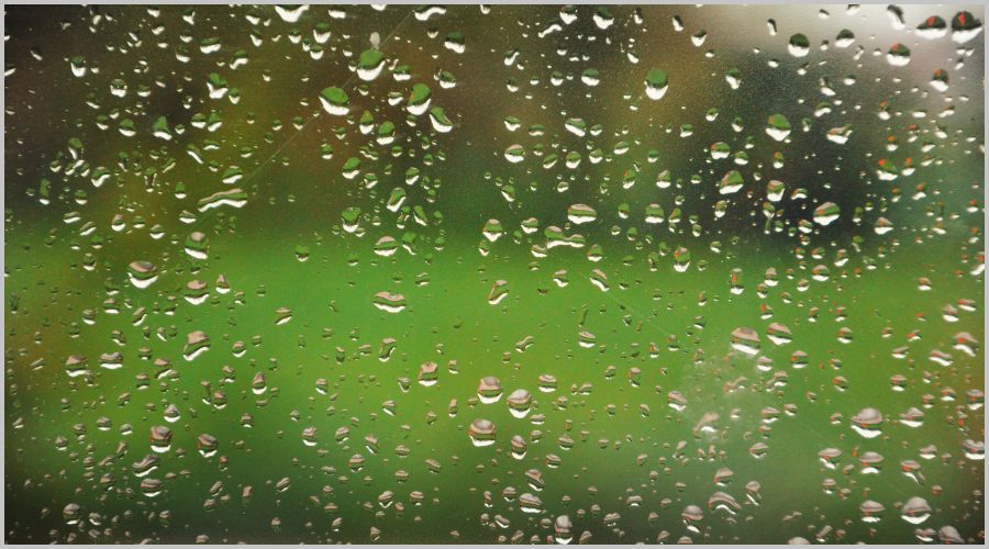 家庭やオフィスでできるダンボール湿気対策の基本