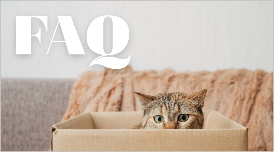 ダンボール収納に関する疑問をまとめて解決