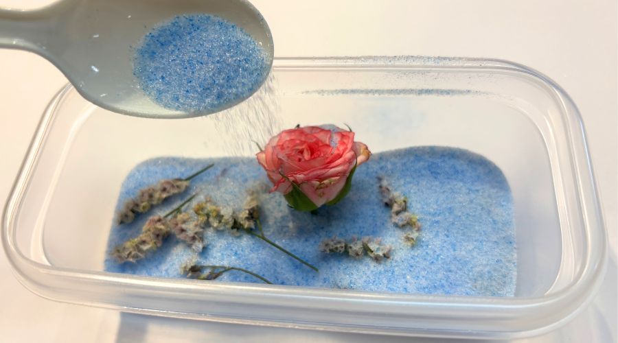 花をシリカゲルに埋める正しい方法