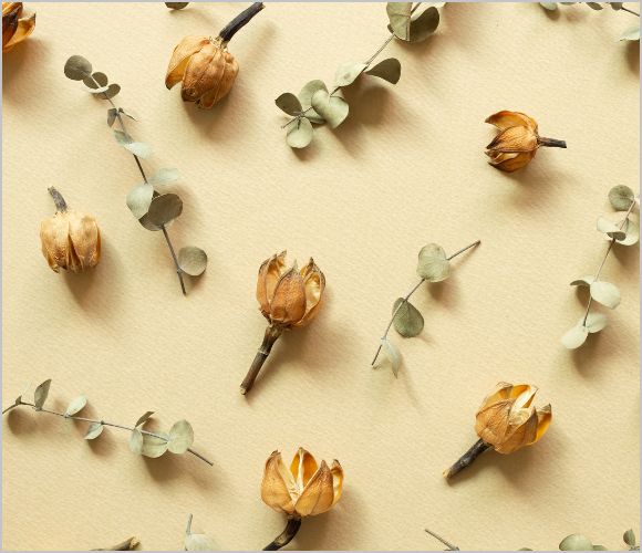 【初心者必見】シリカゲルを用いたドライフラワーの作り方&色あせ防止対策