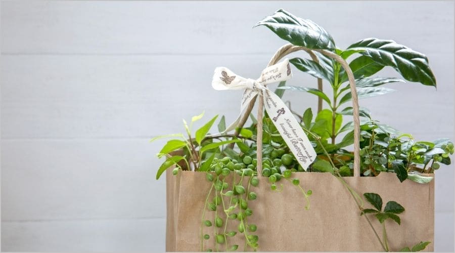 手提げ紙袋ラッピングアレンジ集｜リボンで簡単にできる方法と実例