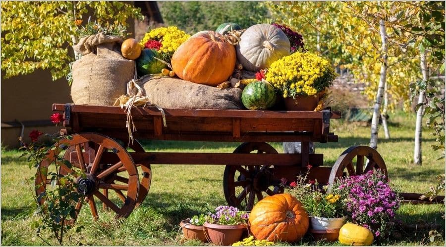ハロウィンとは？行事の意味と基本情報"