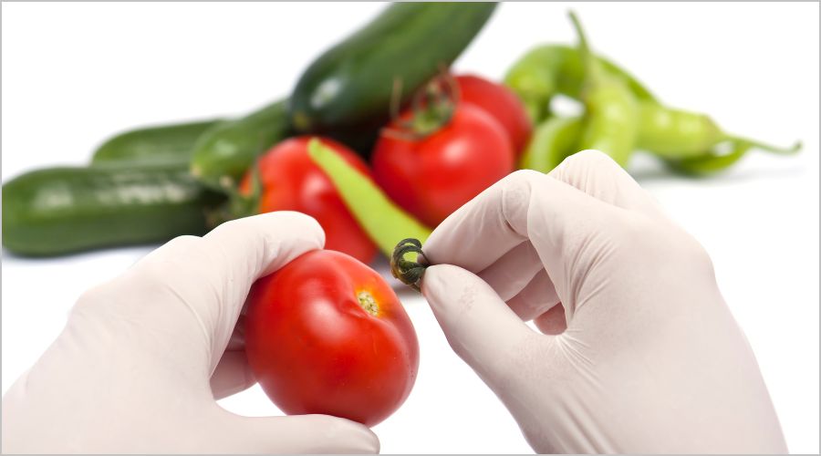 食品加工・調理で使う場合の厚みのポイント