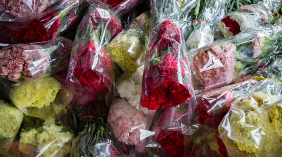 OPPフィルム　まとめ