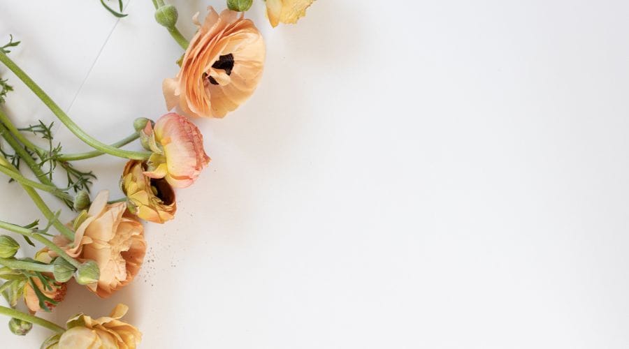 ドライフラワーの種類