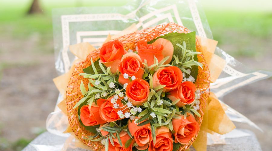 フィルムロールまとめ