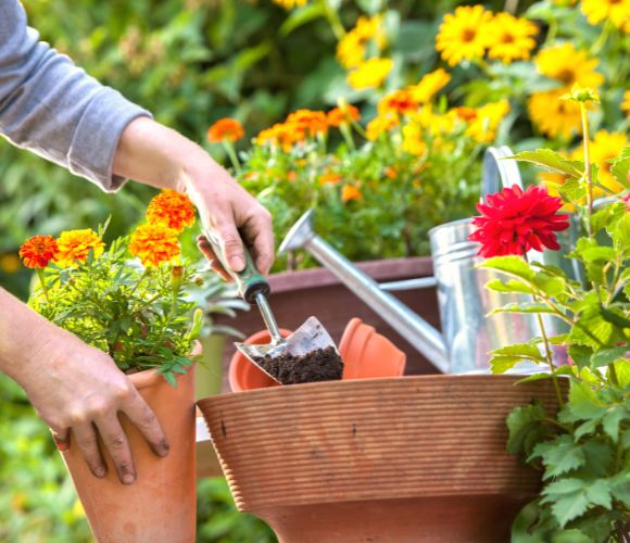 農業資材・園芸用品の種類と植木鉢の選び方