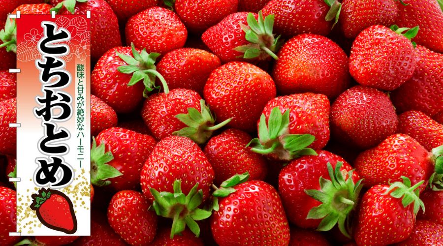 のぼりのデザインのコツまとめ