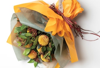 カラーワックスペーパー