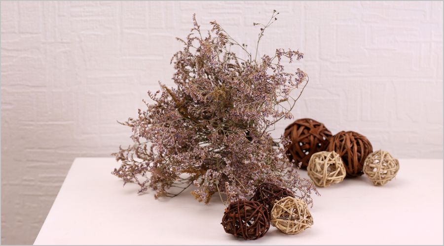 ガーランドの歴史"