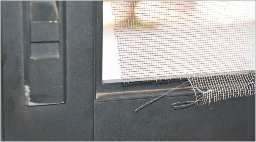 網戸破れを防ぐための注意点