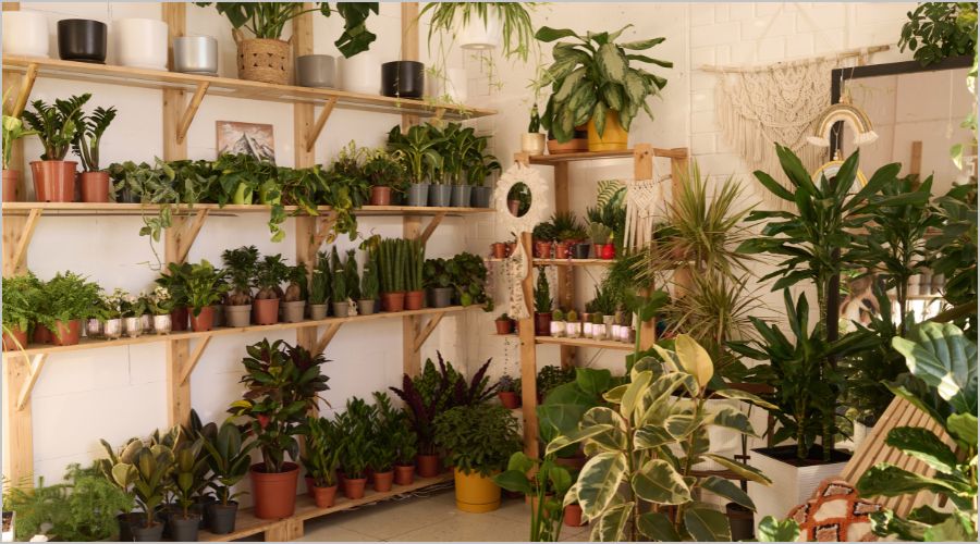 初心者向けVMDテクニック｜売上アップの基本テクニックをご紹介