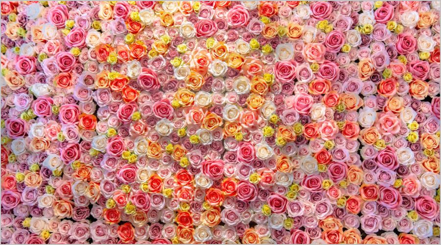 ウォールデコレーション