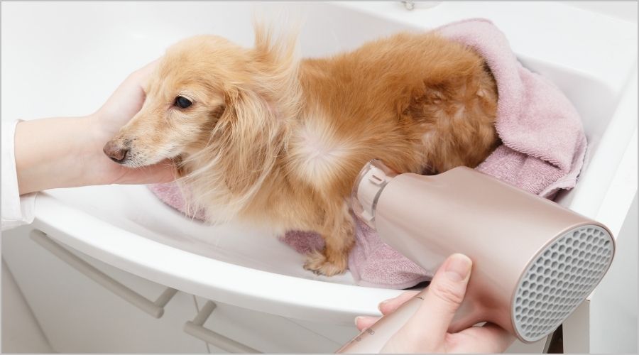 まとめ｜ヘアドライヤーの寿命を最大限に引き延ばすためにできること