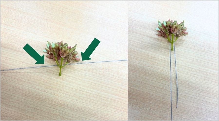 ①ワイヤーを通す