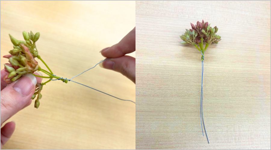 ③仕上げと固定