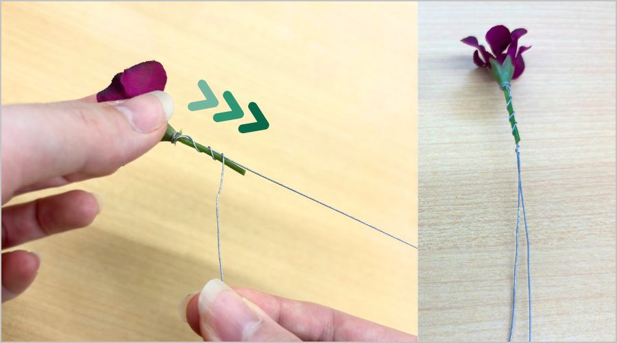 ③茎への巻き下ろしと固定