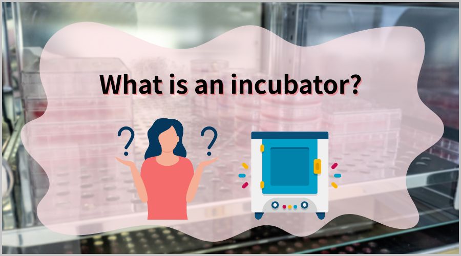 インキュベーターとは何か？基本の意味と用途