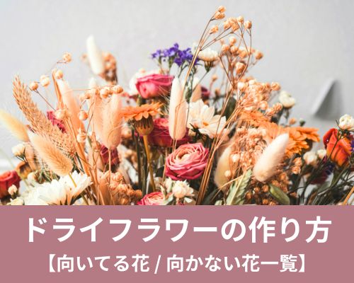 ドライフラワーの作り方