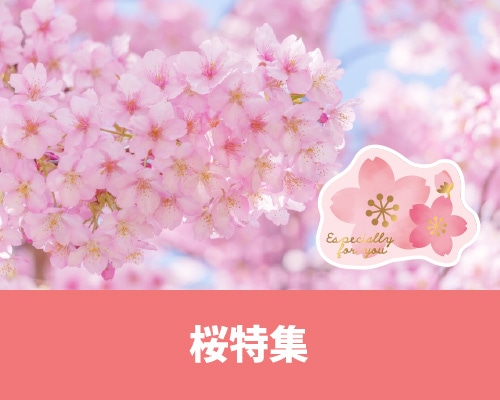 桜特集