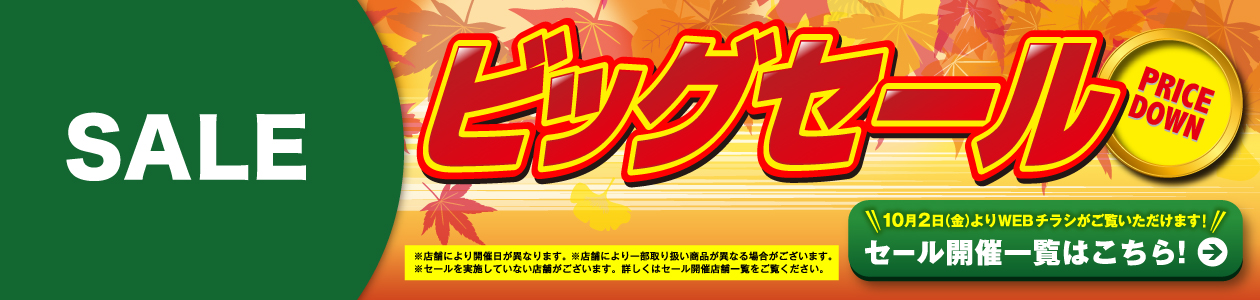 webチラシはこちら